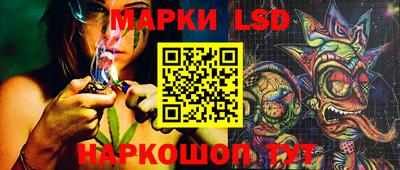 прущие грибы Камышлов
