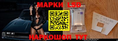прущие грибы Камышлов