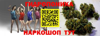 спайс Кандалакша