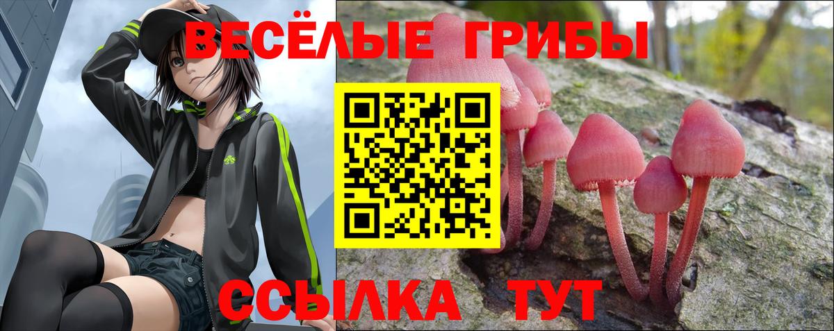 Галлюциногенные грибы Psilocybe Кудрово