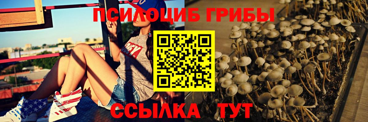 Псилоцибиновые грибы ЛСД  Вход с VPN  Кудрово 