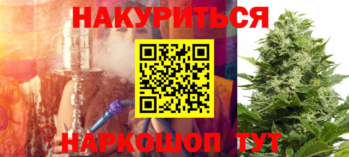 Канабис OG Kush Кудрово
